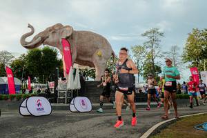 BIB: 
                            <button type="button" onclick="openModal(26529181)" class="btn btn-primary btn-sm float-right btn-popup" data-toggle="modal" data-target=".modal-high-quality">
                        <i class="fas fa-shopping-cart"></i> Add to Cart
                    </button>
                                            <button type="button" onclick="isThisMe(26529181, true)" class="btn btn-success btn-sm float-right btn-popup btn-isme hidden" data-toggle="tooltip" data-placement="bottom" title="นี่คือรูปของคุณใช่ไหม คลิกที่นี่เพื่อเอาเข้าอัลบั้ม">
                        <i class="fas fa-plus"></i> Add to album
                    </button>
                    <button type="button" onclick="isThisMe(26529181, false)" class="btn btn-warning btn-sm float-right btn-popup btn-isnotme hidden">
                        <i class="fas fa-ban"></i> Remove from album
                    </button>